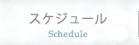 スケジュール