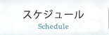 スケジュール